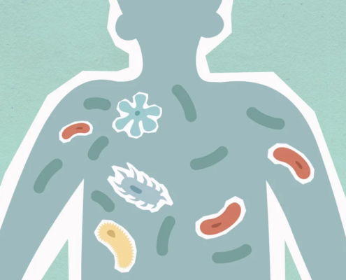 Illustration du microbiote intestinal, bactéries et micro-organismes bénéfiques dans le corps humain