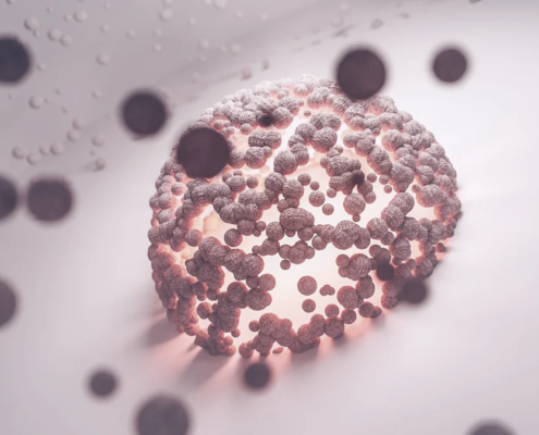 Cellule immunitaire intestinale, illustration du rôle du GALT dans l'immunité digestive
